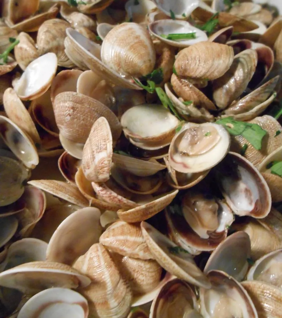 Hotel Bristol Bellaria-Igea Marina